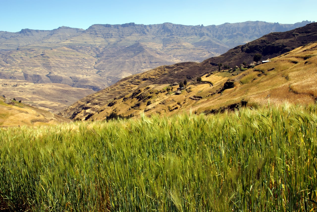 5-Day Eco Tour at Abergina with Twsta Trails